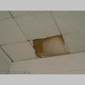 Asbestos Ceiling Tiles.jpg